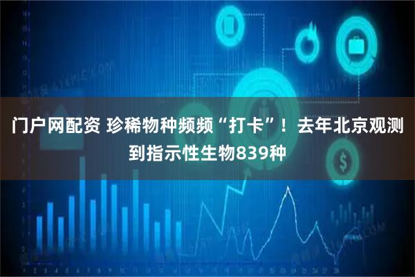 门户网配资 珍稀物种频频“打卡”！去年北京观测到指示性生物839种