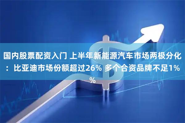 国内股票配资入门 上半年新能源汽车市场两极分化：比亚迪市场份额超过26% 多个合资品牌不足1%